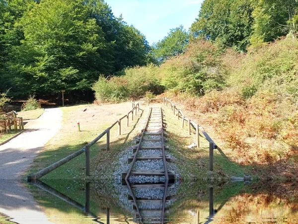 stock image dead track, surreal landscape in the forest of Urbasa, Navarra,