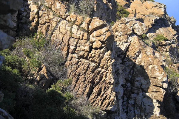 Zkamenělý Les San Andrs Teixido Přírodní Ráj Jedinečné Skalní Útvary — Stock fotografie