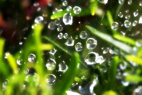 Gotas Chuva Capturadas Nos Fios Uma Teia Aranha Filtro Difusor — Fotografia de Stock