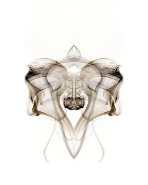 Symmetrisk Abstrakt Fotografi Former Förvärvade Genom Rök Vit Bakgrund — Stockfoto