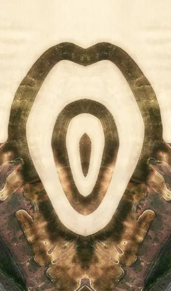 Крик Абстрактная Симметричная Фотография Пустынь Сша Воздуха Концептуальная Фотография Диффузный — стоковое фото