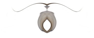 Dumanlı yaratıcı fotoğraflar, beyaz arka planda, kadın cinsiyetini taklit eden duman tarafından elde edilen simetrik soyut fotoğraflar..