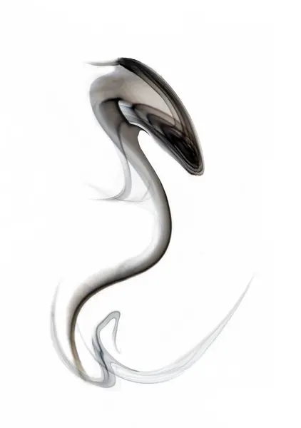 机器人国王眼镜蛇 白色背景下模糊烟雾形状的艺术抽象图片 免版税图库图片