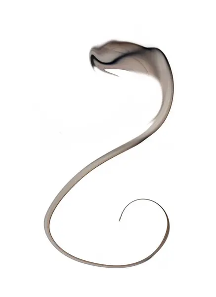 코브라 배경에 연기의 모양의 추상적인 스톡 사진