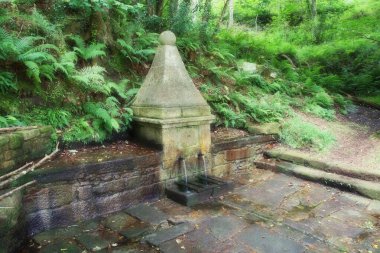 Fonte da Tella, Sargadelos, Lugo, Galiçya, İspanya 'nın eğlence bölgesinde bulunan eski bir çeşme.,