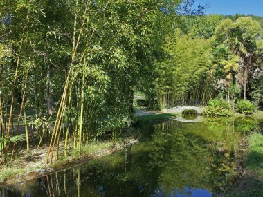 Bambu kamışlı Japon tarzı gölet ve Seoro de Bertiz, Navarra, İspanya bahçelerinde bir köprü.,