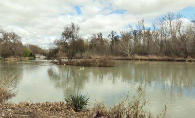 Aranjuez, Madrid 'den geçen Tagus Nehri.,