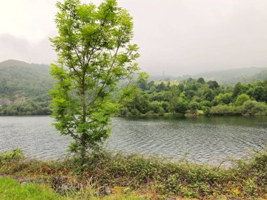Rioseco rezervuarı, sabah sisi, Redes Doğal Parkı, Asturias, İspanya