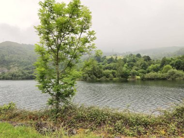 Ro Seco rezervuarının yanındaki Doğal Parkı 'nın manzarası, Asturias, İspanya
