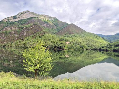 Ro Seco rezervuarının yanındaki Doğal Parkı 'nın manzarası, Asturias, İspanya
