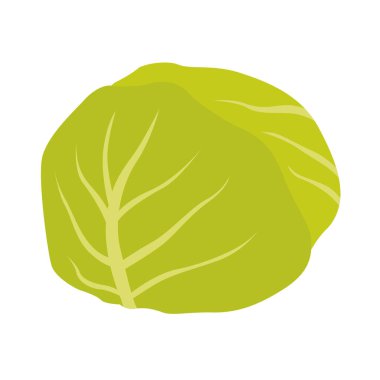 Lahana taşıyıcısı. El çizimi çizimi. Beyaz arkaplandaki izole nesne.