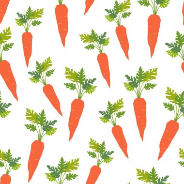 Havuç desensiz. El çizimi vektör çizimi. Beyaz arkaplanda izole nesneler. 