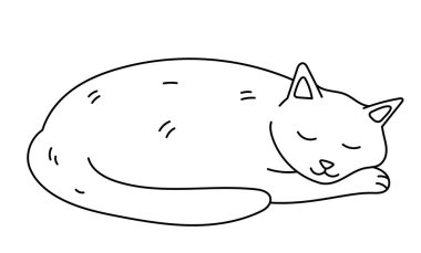 Tatlı uyuyan kedi. Vektör çizimi. Beyaz arkaplandaki izole nesne.