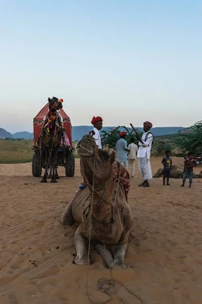 Достопримечательности Верблюдов Ездить Через Пустыню Окраине Священного Города — стоковое фото