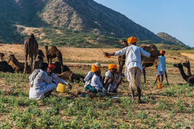 Gezici deve, çölden geçerek kutsal şehrin sınırlarına gidiyor.