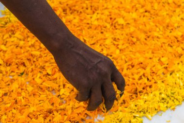 Yeni Delhi 'de tefekkür ve dua için çok güzel dekorasyonu olan Iskcon tapınağının içi.