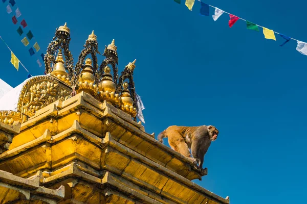 Tempio Delle Scimmie Nella Città Kathmandu Cima Alla Città — Foto Stock