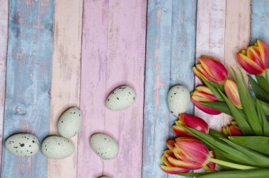 Bahar Uyanışı. Canlı turuncu içeren parlak ve taze bir bahar kompozisyonu.