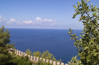 Mavi Deniz ve Yeşillik Manzaralı Kıyı Manzarası