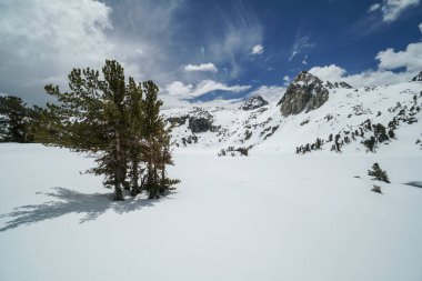 Pacific Crest Patikası. Bir dağ sırasının önündeki karda yalnız bir ağaç duruyor. Sahne huzurlu ve sakin; karla kaplı manzara bir huzur ve sükunet hissi yaratıyor.