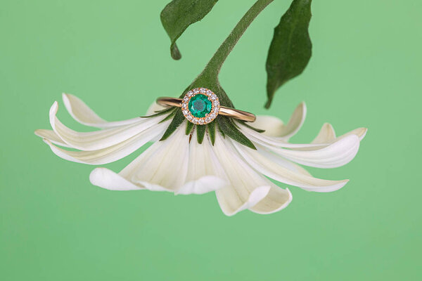 Flower with jewelry. Beautiful natural flower with diamonds.