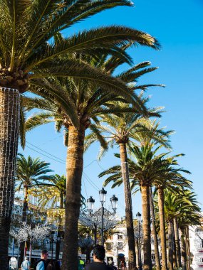 Nerja Andalucia İspanya 'daki Burriana Sahili' nde büyük bir tabak Paella servis ediyorum.