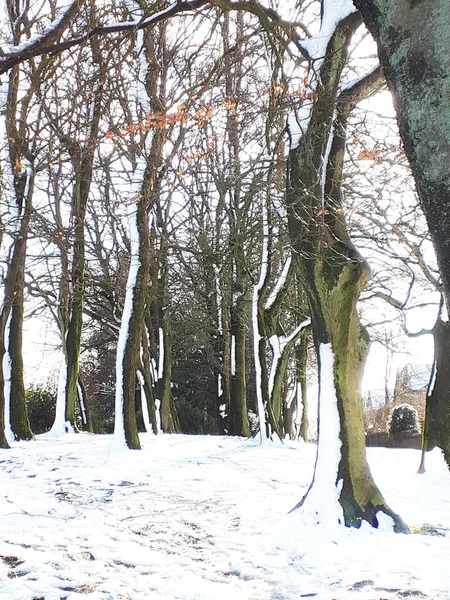 Pokryty Śniegiem Park Ightenhill Zimie Burnley Lancashire Burnley Wiele Publicznych — Zdjęcie stockowe
