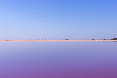 Salta adasının pembe gölünde pembe tuz gölü..