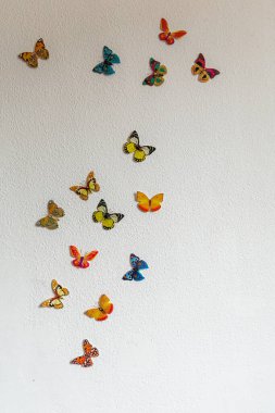 Beyaz arka planda kelebek