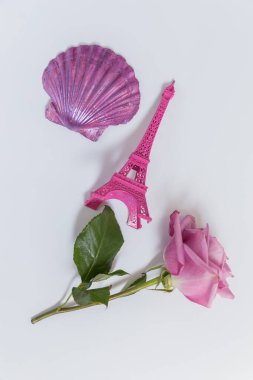 pembe gül, gül ve kabuklar.