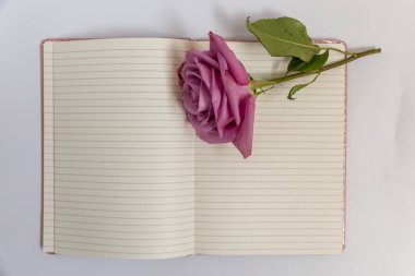 Beyaz arkaplanda kırmızı gül olan defter