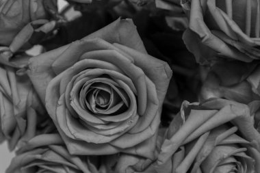 Güzel bir buket gül, çiçekler