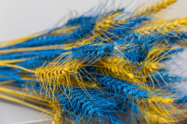 2020 yılının mavi rengini kapat