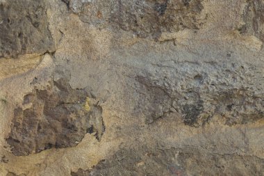 Eski kahverengi ahşap duvarın çatlak boyalı arka planı