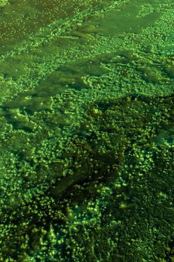 Güzel deniz manzarası