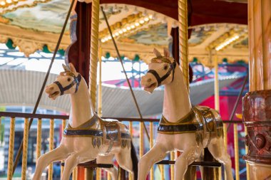 Atlıkarınca ve at parkta.