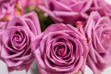 Güzel bir buket gül