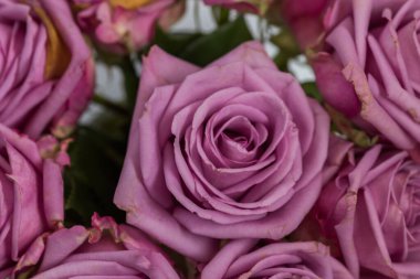 Bir buket pembe gül yakın