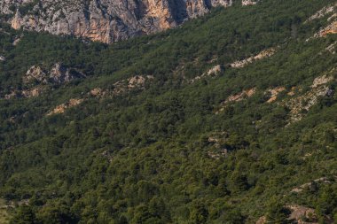 Kayalar ve ağaçlarla kaplı dağ manzarası