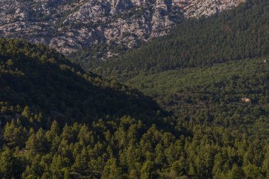 Dağların ve ağaçların güzel manzarası. seyahat kavramı