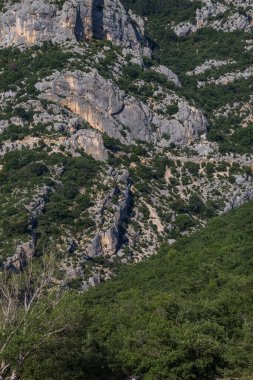 Ağaçları ve ağaçları olan kayalık bir dağ manzarası