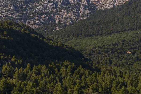 Dağların ve ağaçların güzel manzarası. seyahat kavramı