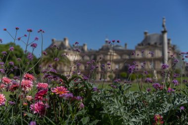 Paris, Fransa - 16 Mayıs, 20 0. 21: Yazın Paris 'in güzel bahçesi