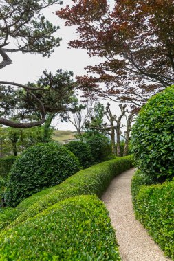 Yazın Japon bahçesinde yeşil ağaçlar ve çalılar