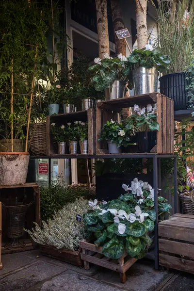 stock image plants in pots at a flower market in london