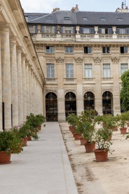Paris - Temmuz 2019: Paris, Fransa 'da güzel ve zarif bir bina