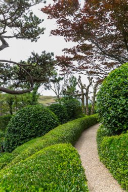 yeşil bahçe ve parktaki ağaçlar