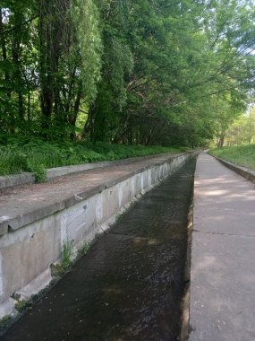 Parktaki nehrin güzel manzarası