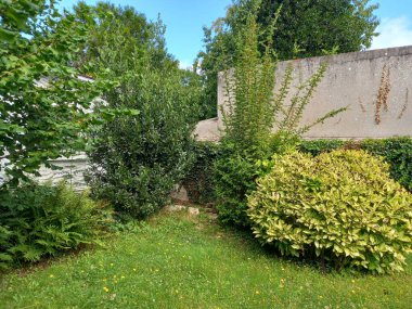 Ormanın ortasında çitle bahçenin dikey görüntüsü.