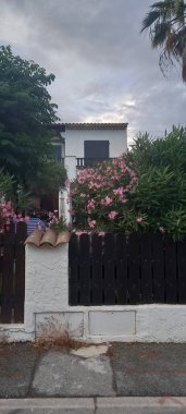 İsrail 'in kuzeyindeki Akdeniz adasının güzel manzarası.